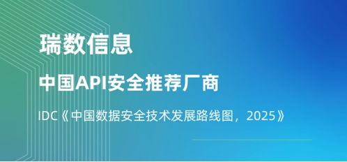 瑞數(shù)信息獲評API安全推薦廠商，入選IDC中國數(shù)據(jù)安全技術(shù)發(fā)展路線圖，展望2025信息技術(shù)咨詢服務(wù)新篇章
